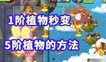 新旅游爆料视频完整版,全景呈现绝美景点与独家玩法